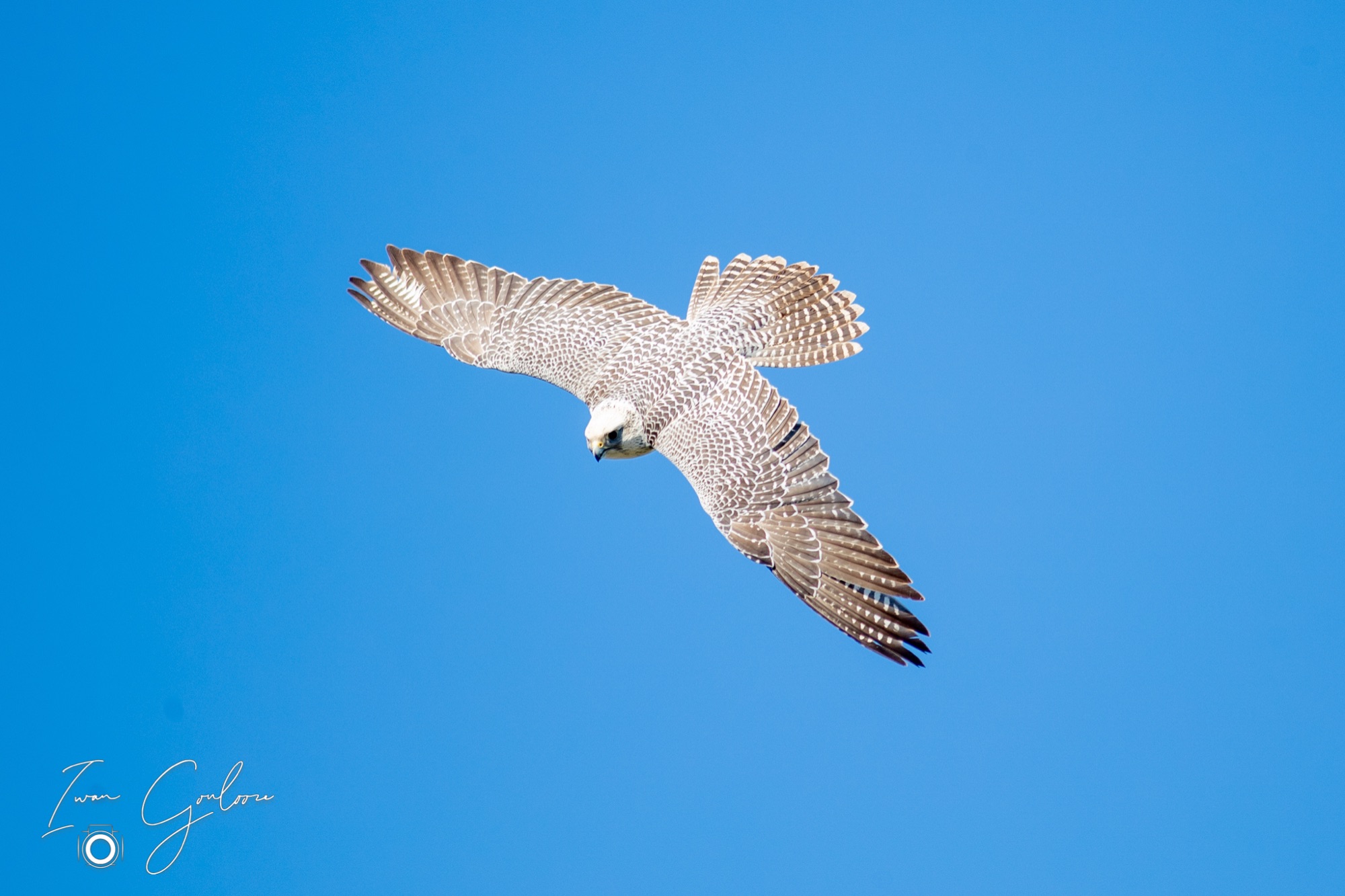 27 maart 2022 150439 1DX45820